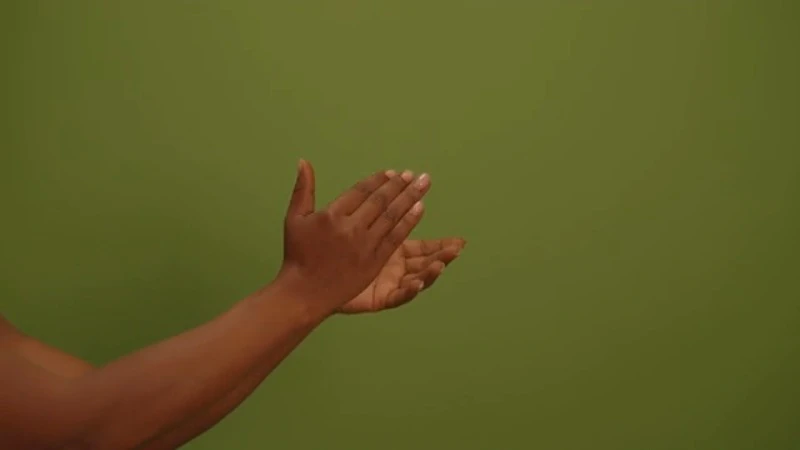Gesture, Clapping, Celebrating, Hand by Animedias – Stock Footage | Artlist