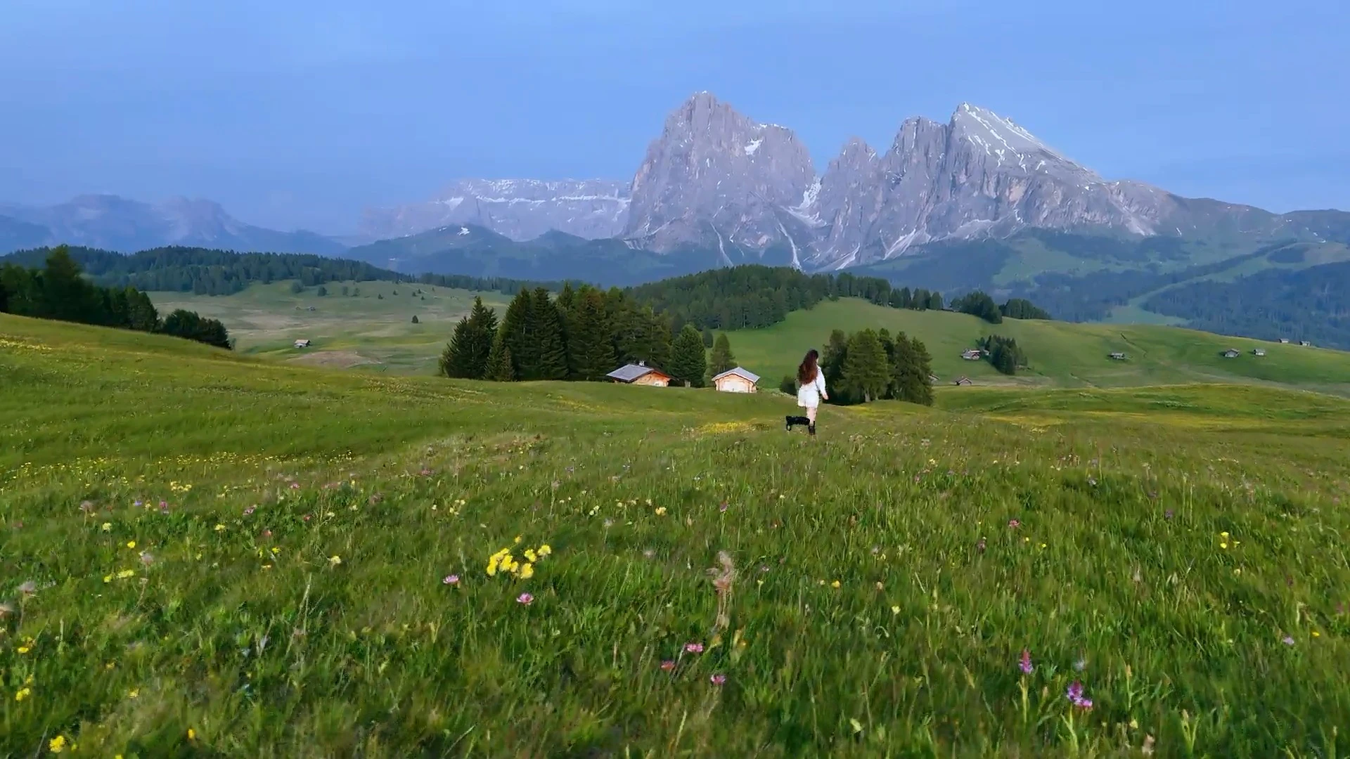 Discover alpine-bloom, a story-driven footage | Artlist