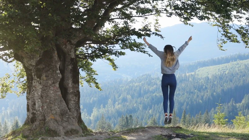 Countryside, Jumping, Back Shot, Tree by Oleh Ibrahimov – Stock Footage ...