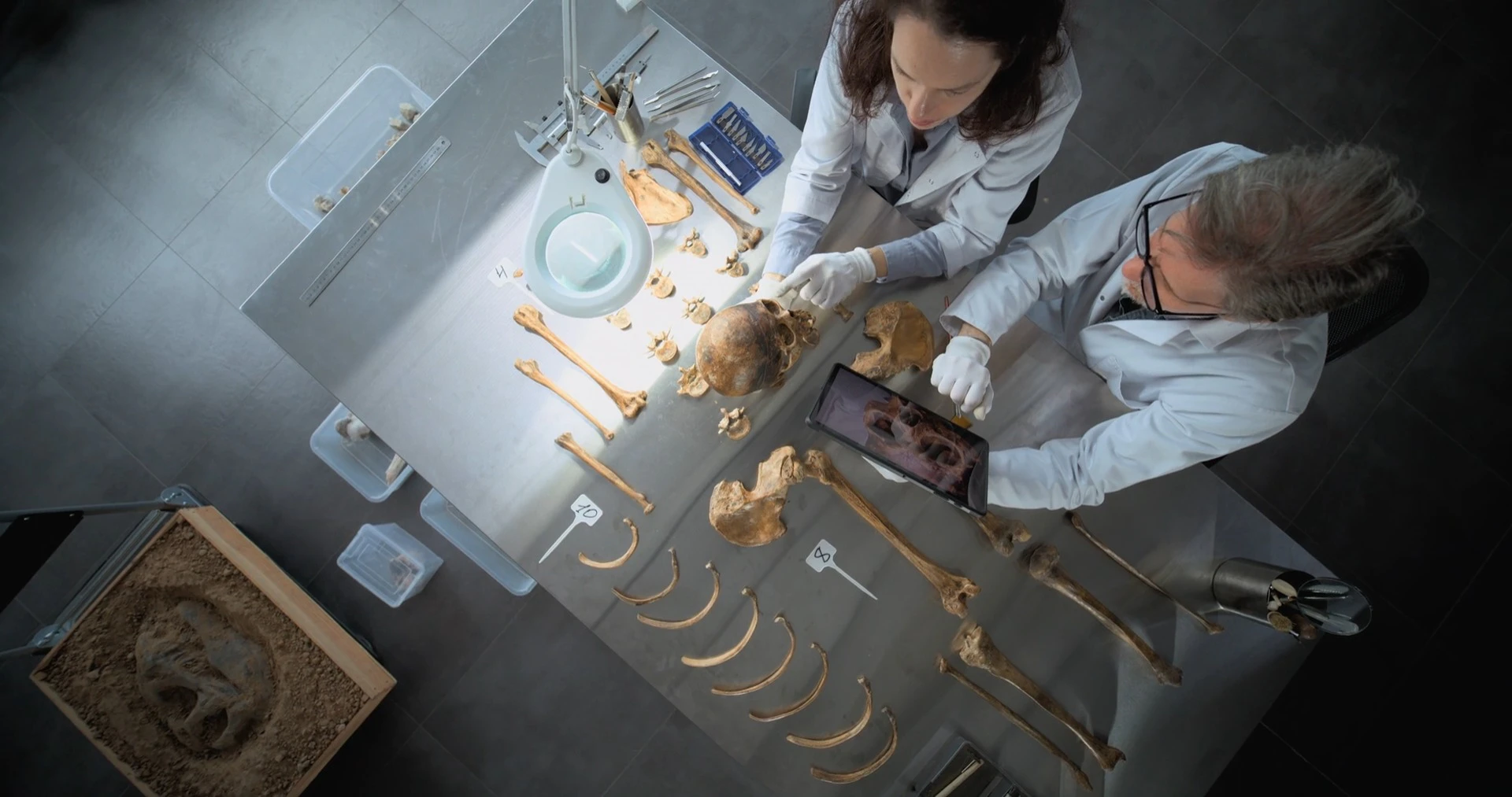 Discover archaeological-laboratory, a story-driven footage | Artlist