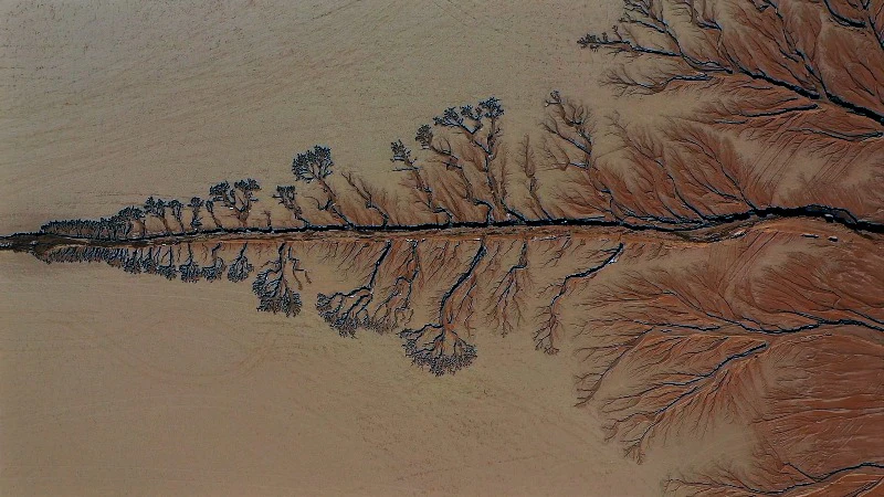 Saudi Arabia, Drone, Estuary, Tree Shape by abo_ngam – Stock Footage ...