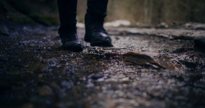 Flowing, Water, Stream, Walking by Film spirits – Stock Footage | Artlist