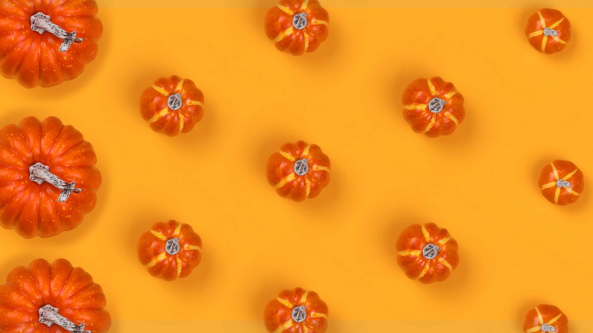 Discover autumn-and-fall-stop-motions, a story-driven footage | Artlist