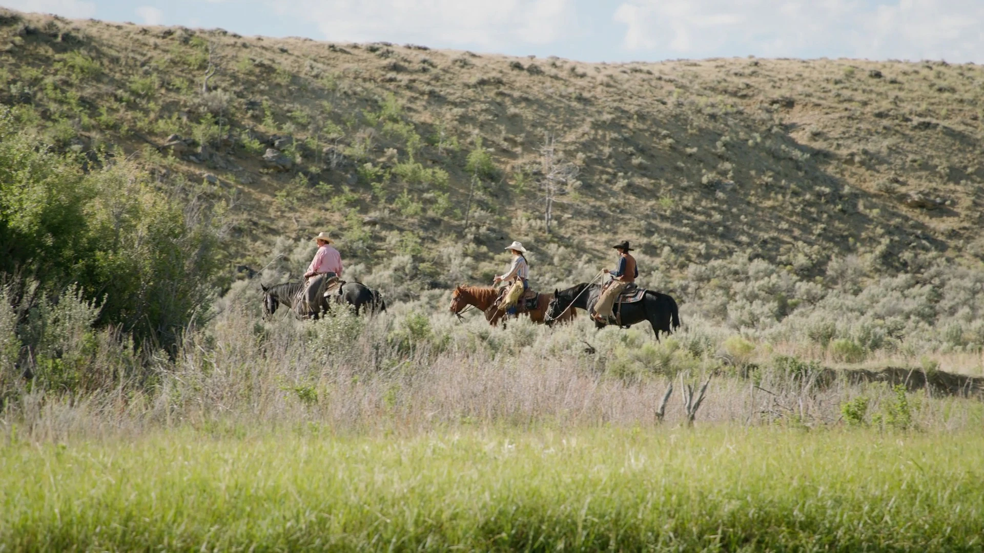Discover cowboy-ranch, a story-driven footage | Artlist