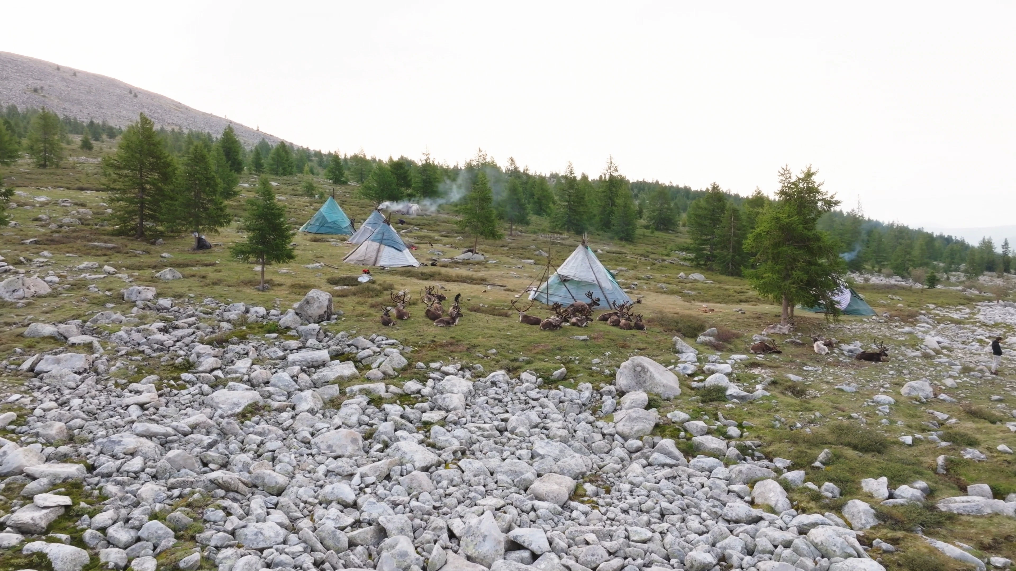 Discover nomad-camp-from-above, a story-driven footage | Artlist