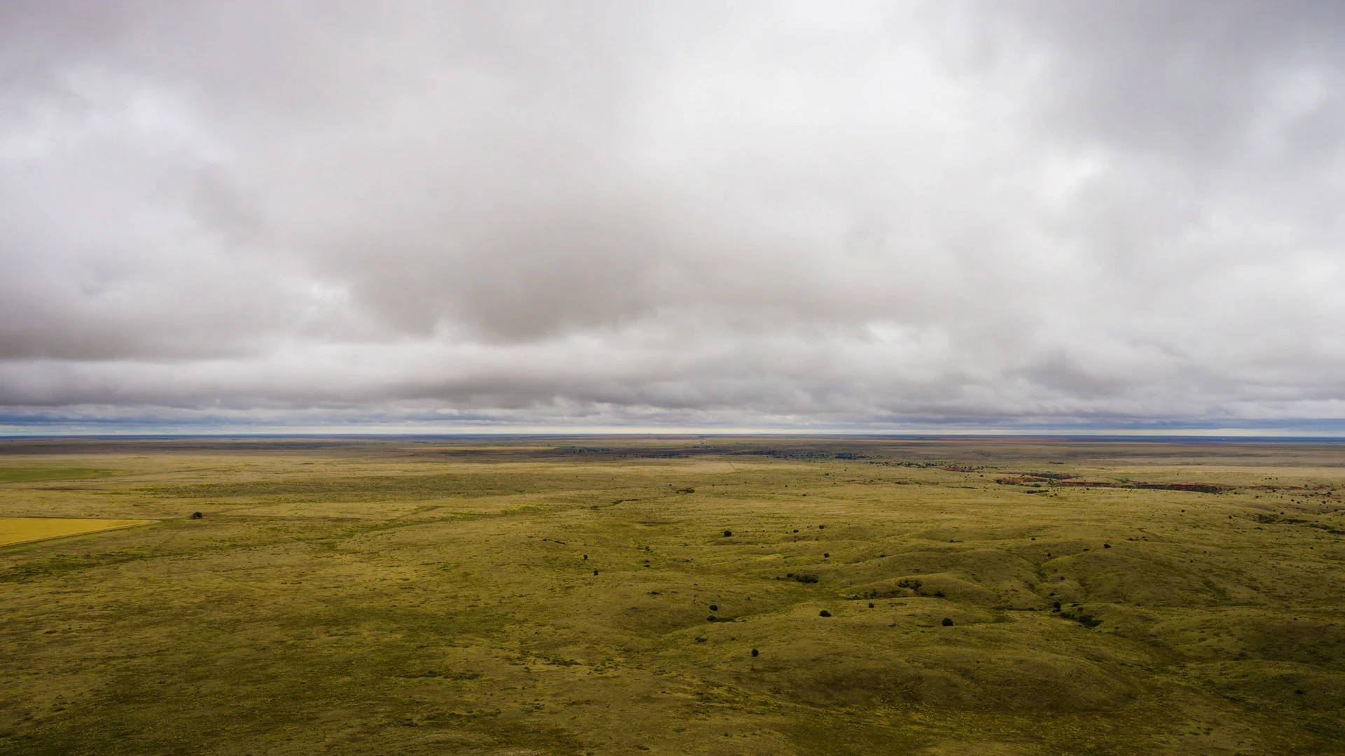 Discover wild-weather, a story-driven footage | Artlist