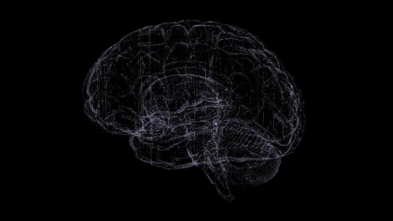 Loop, Brain, Ai, 3d by Daniel Megias del Pozo – Stock Footage | Artlist