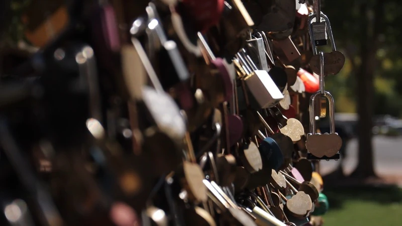 Locks, Tree, Hanging, National Park by Scott Simerly Jr. – Stock ...